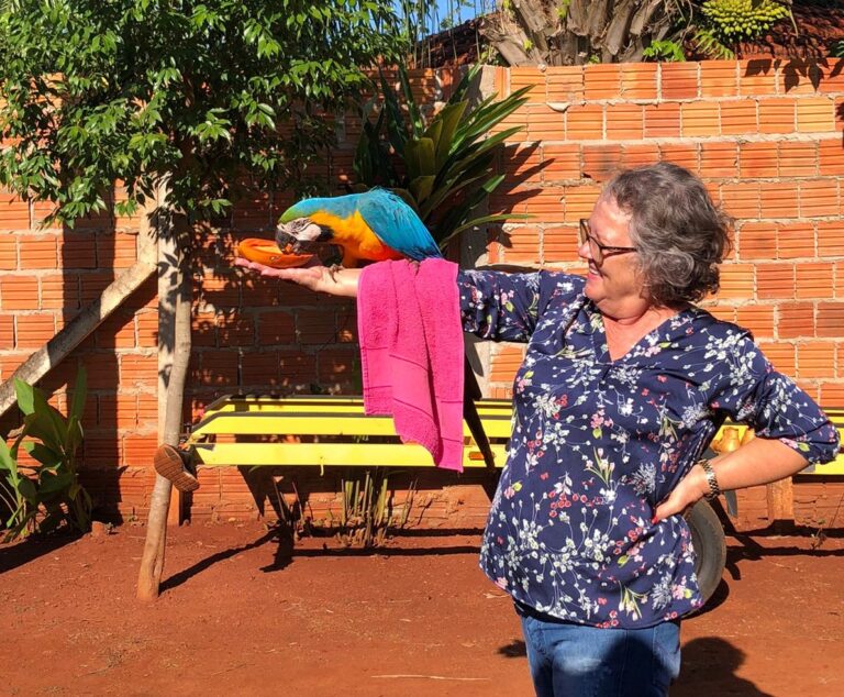 É POSSÍVEL interagir a natureza sem agredí la Araras livres se