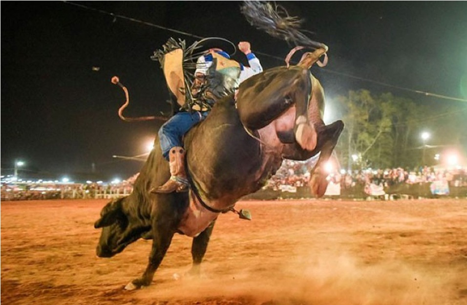 (Os PIORES TOMBOS em CAVALOS) - Rodeio de Colorado 2022 